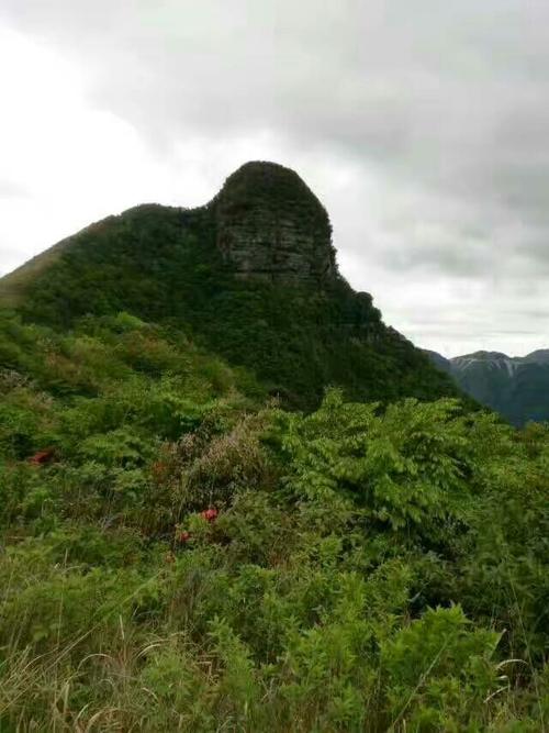 曾几何时，一座大山在二年级时编造了故事