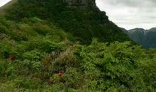 从前有一座大山编故事二年级