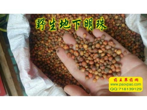 “珍珠”降落
