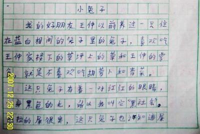 我们的小白兔400字构图