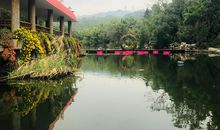 人生有味是经营