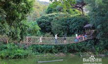 美丽的青青世界