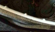 我的动物朋友小猴子