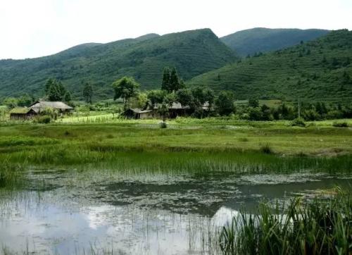 齐岳山