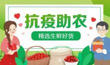 以己之力报国恩