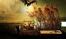 小芦苇的学习宝箱