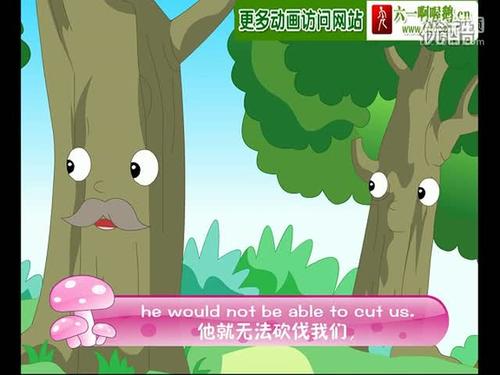 我和树的故事