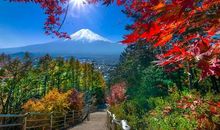 这个冬天不一样