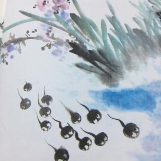 模仿小t，找妈妈写动物