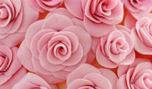 给心灵一瓣书香