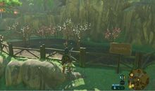 第一次抓鸡之乐