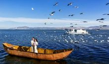 我和海鸥有个约会