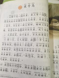 看完冷鸟之后