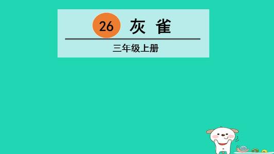 三年级灰雀续