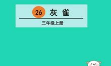 三年级灰雀续写