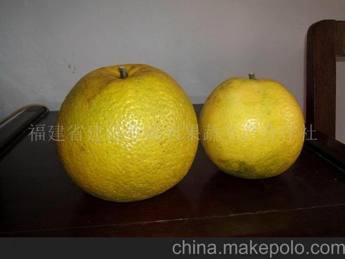 苦柚子