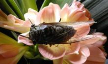 窗外秋雨扰人心