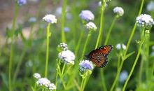 总有一个理由让我们微笑