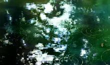 一颗雨滴的自述