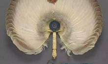 扇之声，扇之爱