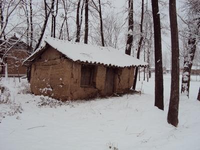 温暖下雪天