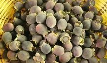 煮花生味浓情更浓