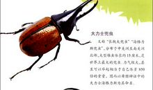 长有犄角的盔甲武士