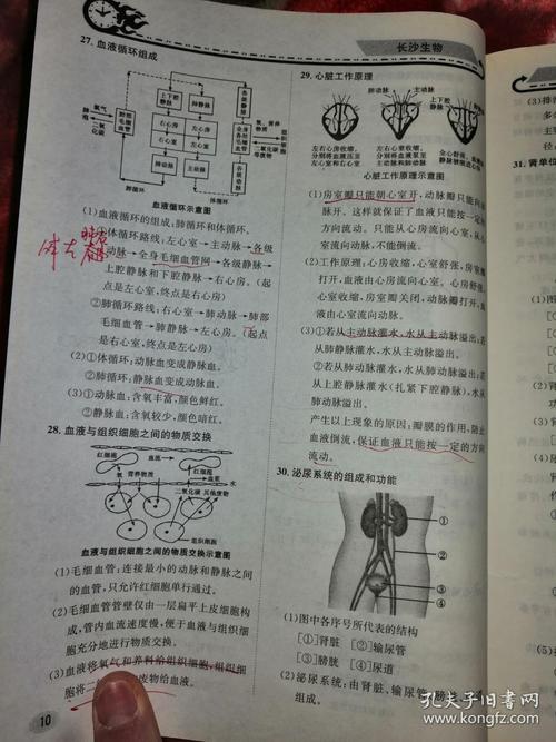 我在星空城的2018