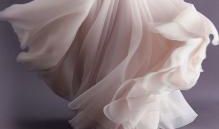 我发现最美丽的人