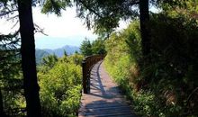 森林公园爬山记