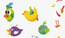 美丽又可爱的鸽子