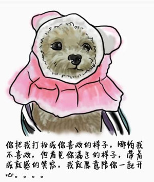 我的小狗的秘密
