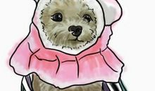 我家小狗的秘密