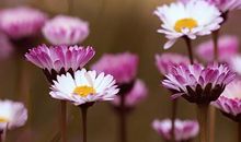 放弃成就人生的美丽