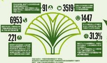 绿色的宣言读后感