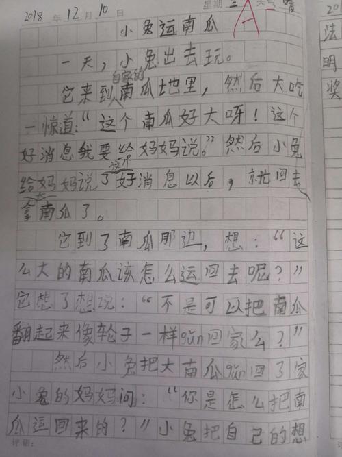小兔子运输南瓜