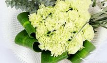 在康乃馨的花香中成长