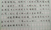 我懂得了什么作文900字