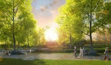 动物森林里的一座城