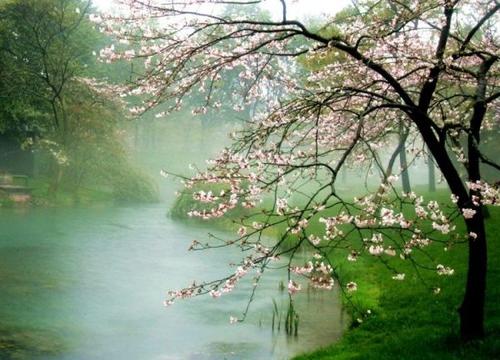 长春雨