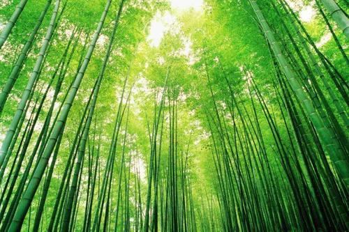 大珠海快乐之旅