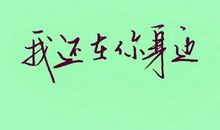 春天，从未走远