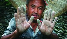 那双粗糙的大手