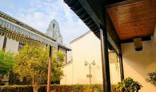 外婆家的小动物