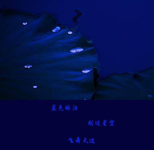 海，别哭