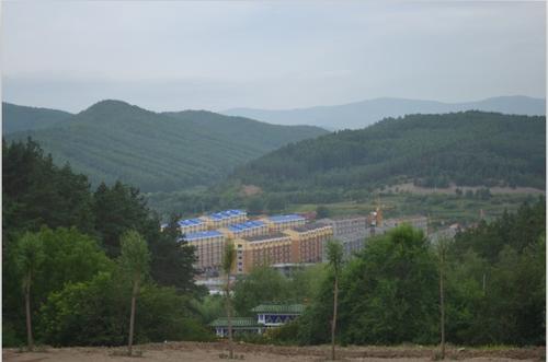 通天林场旅行记