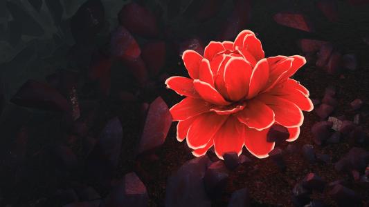 梦中的花