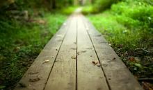 一路风景一路春风