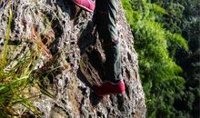 记一次爬山比赛