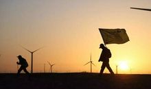 成长路上，马蹄莲香